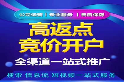 专业SEM托管服务，案例展示精准营销成果