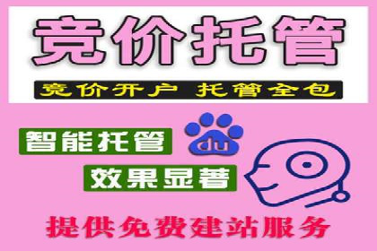 百度竞价广告运营中的数据分析和应用案例